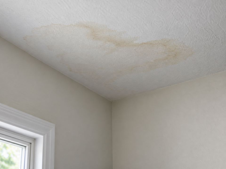 A faint amber stain spreads across an off-white ceiling near the corner of a room and a window.