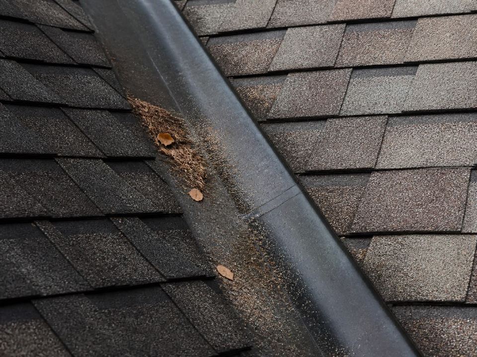 A roof valley between two shingle planes, fine granule sediment collected along one side.