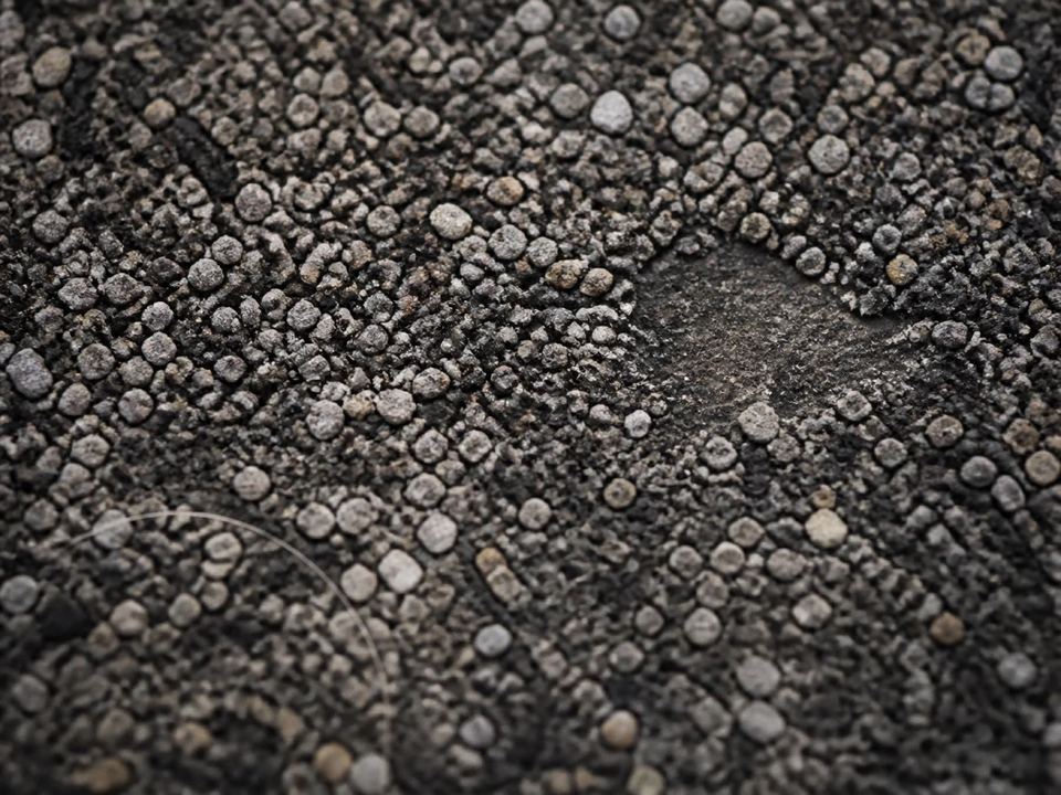 Macro view of asphalt-shingle granules showing colour variation and surface wear.