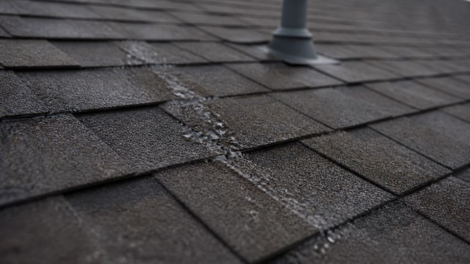 Water tracking across a shingle roof surface after rain, drops caught on the granules.