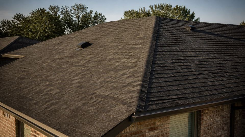 A large asphalt-shingle roof plane, courses running clean from ridge to eave in late afternoon light.