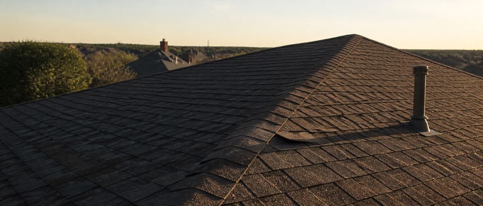 Two asphalt-shingle roof planes meeting at a ridge in low evening light, a vent stack on the right slope.